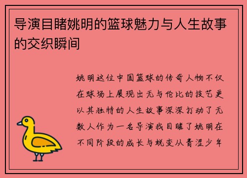 导演目睹姚明的篮球魅力与人生故事的交织瞬间